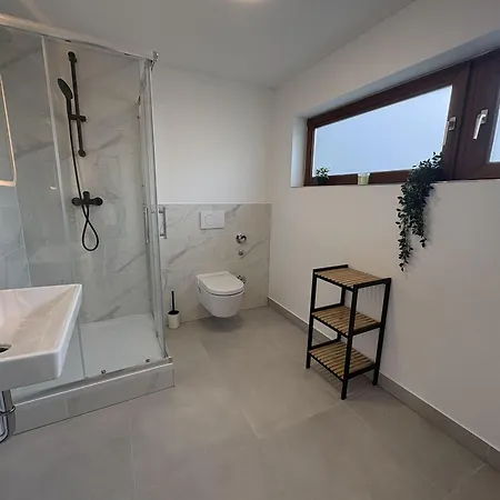 Stranddistel-5 * Dahme (Schleswig-Holstein)